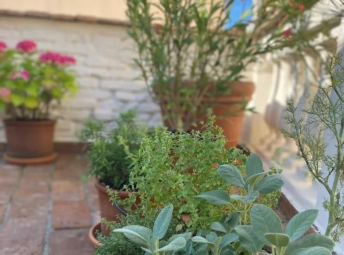 Appartement Apartma Na Terasi